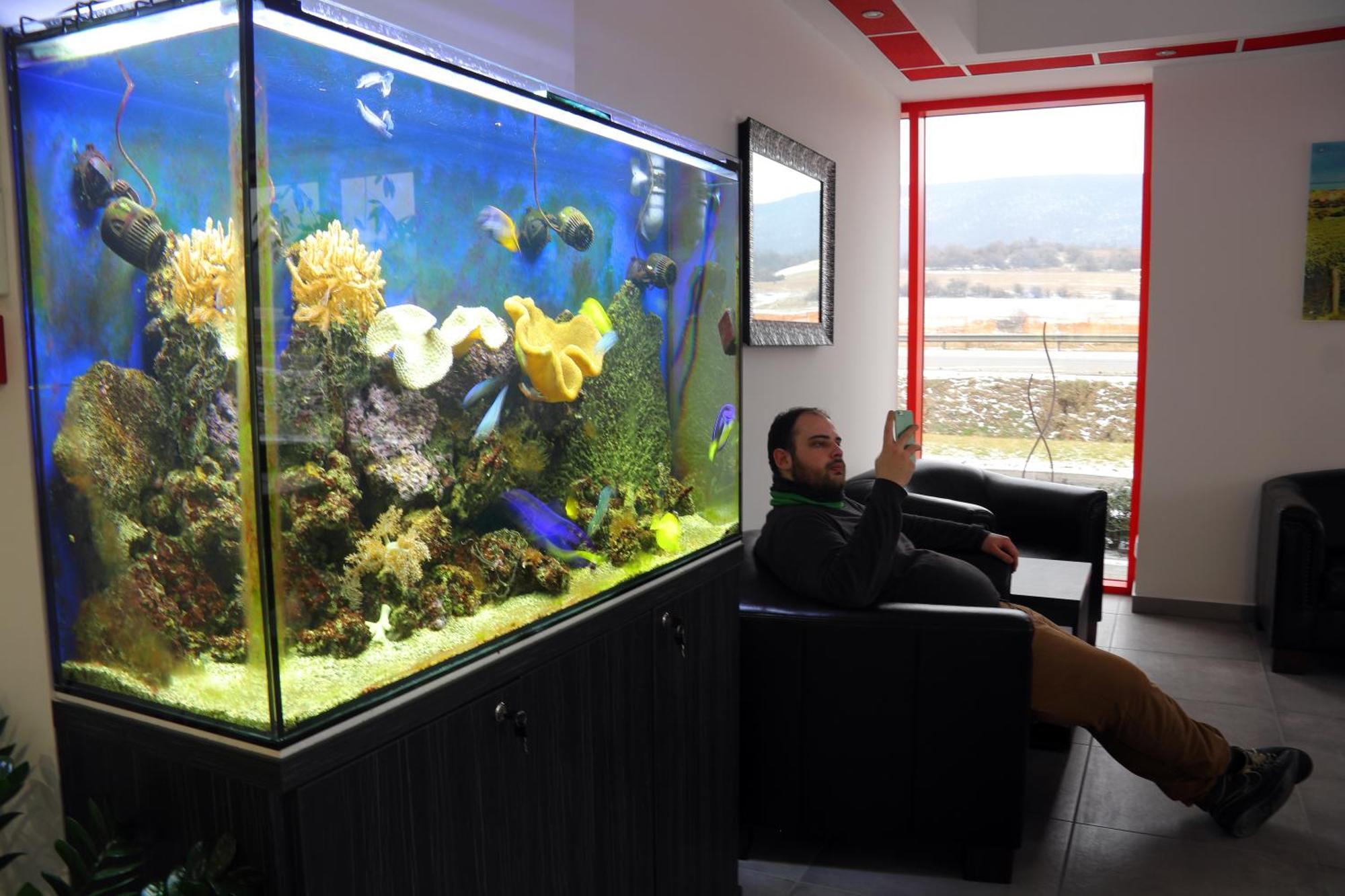 Vertesszolos Top Hotel מראה חיצוני תמונה